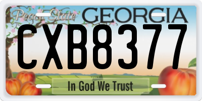 GA license plate CXB8377