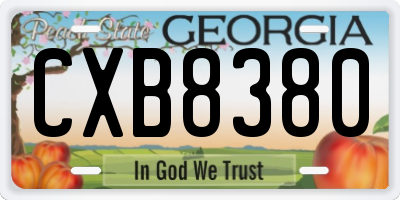 GA license plate CXB8380