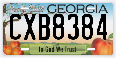 GA license plate CXB8384