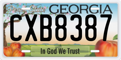 GA license plate CXB8387