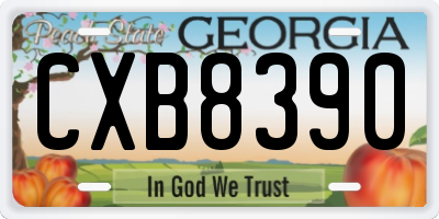 GA license plate CXB8390