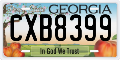 GA license plate CXB8399
