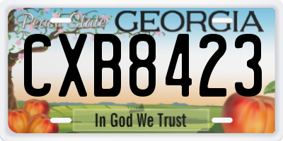 GA license plate CXB8423