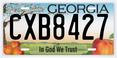 GA license plate CXB8427