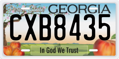 GA license plate CXB8435