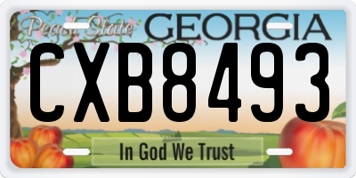 GA license plate CXB8493