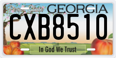 GA license plate CXB8510