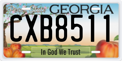 GA license plate CXB8511