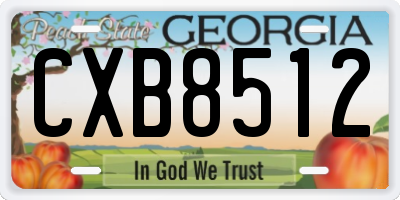 GA license plate CXB8512