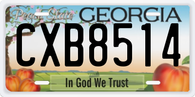 GA license plate CXB8514