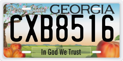 GA license plate CXB8516