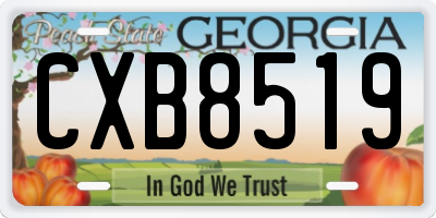 GA license plate CXB8519