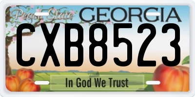 GA license plate CXB8523