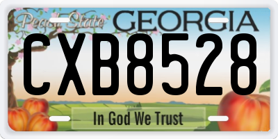 GA license plate CXB8528