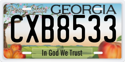 GA license plate CXB8533