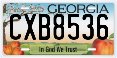 GA license plate CXB8536