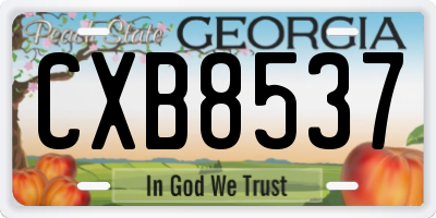 GA license plate CXB8537