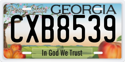 GA license plate CXB8539