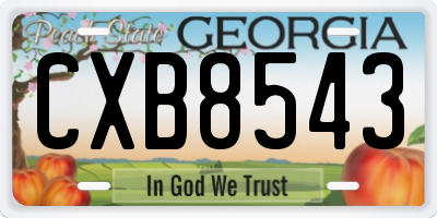 GA license plate CXB8543