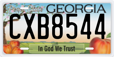 GA license plate CXB8544