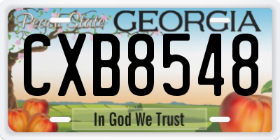 GA license plate CXB8548