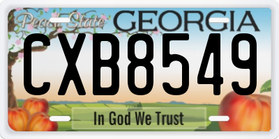 GA license plate CXB8549