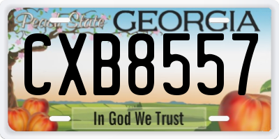 GA license plate CXB8557