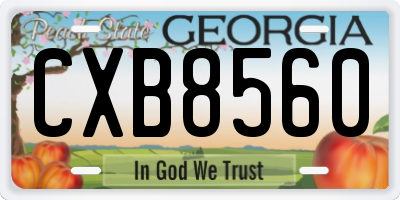 GA license plate CXB8560