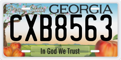 GA license plate CXB8563