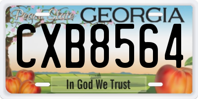GA license plate CXB8564