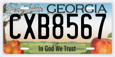 GA license plate CXB8567