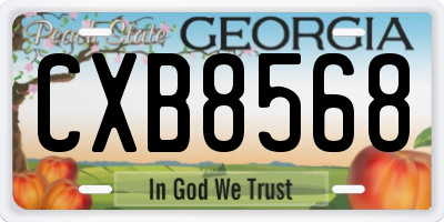 GA license plate CXB8568