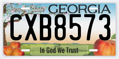 GA license plate CXB8573