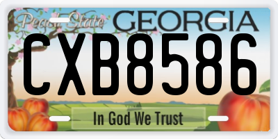 GA license plate CXB8586