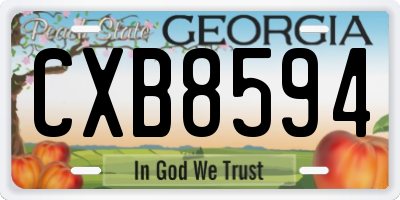 GA license plate CXB8594