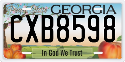 GA license plate CXB8598