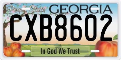 GA license plate CXB8602