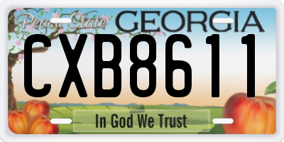 GA license plate CXB8611