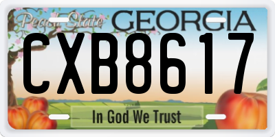 GA license plate CXB8617
