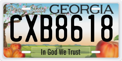 GA license plate CXB8618