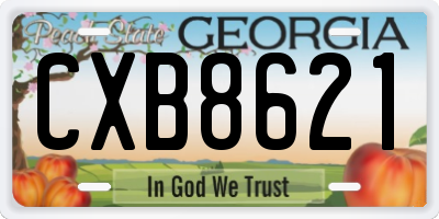 GA license plate CXB8621