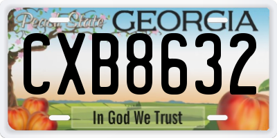 GA license plate CXB8632