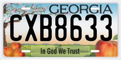 GA license plate CXB8633