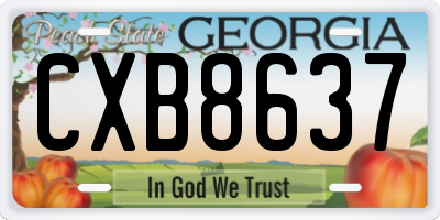 GA license plate CXB8637
