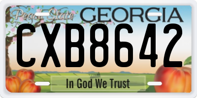 GA license plate CXB8642