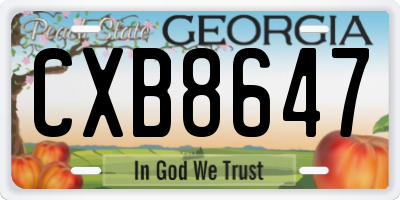 GA license plate CXB8647