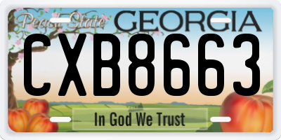 GA license plate CXB8663