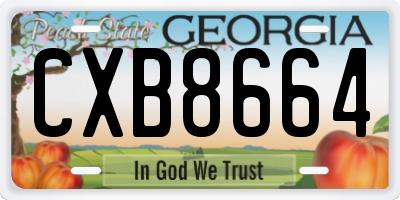 GA license plate CXB8664