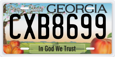 GA license plate CXB8699