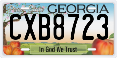 GA license plate CXB8723